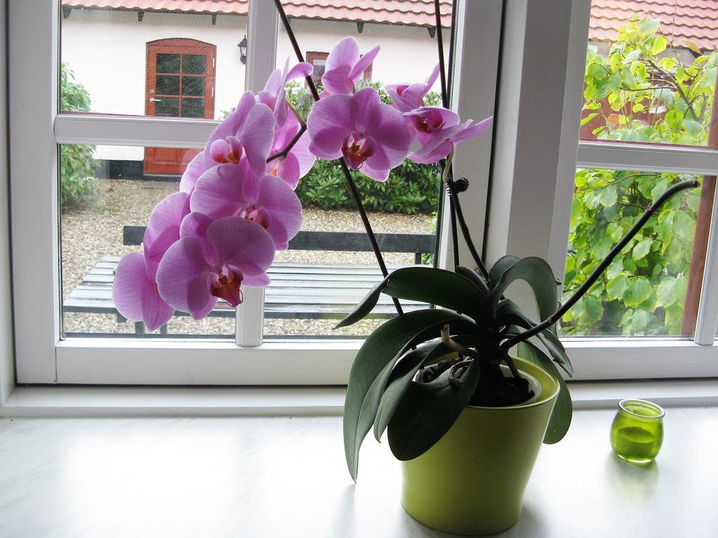 Vranum Guesthouse Viborg Kültér fotó