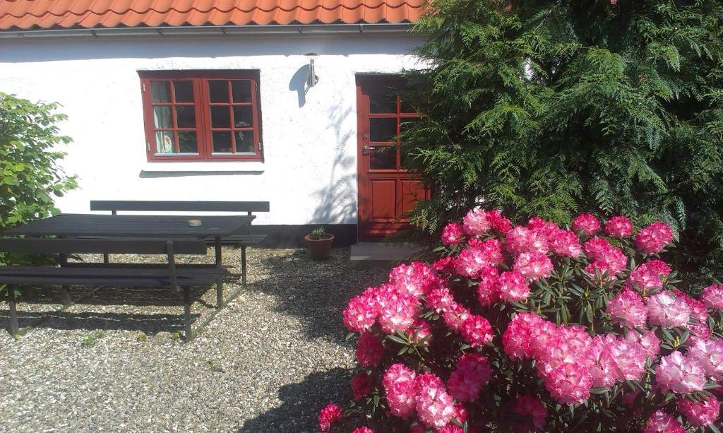 Vranum Guesthouse Viborg Kültér fotó