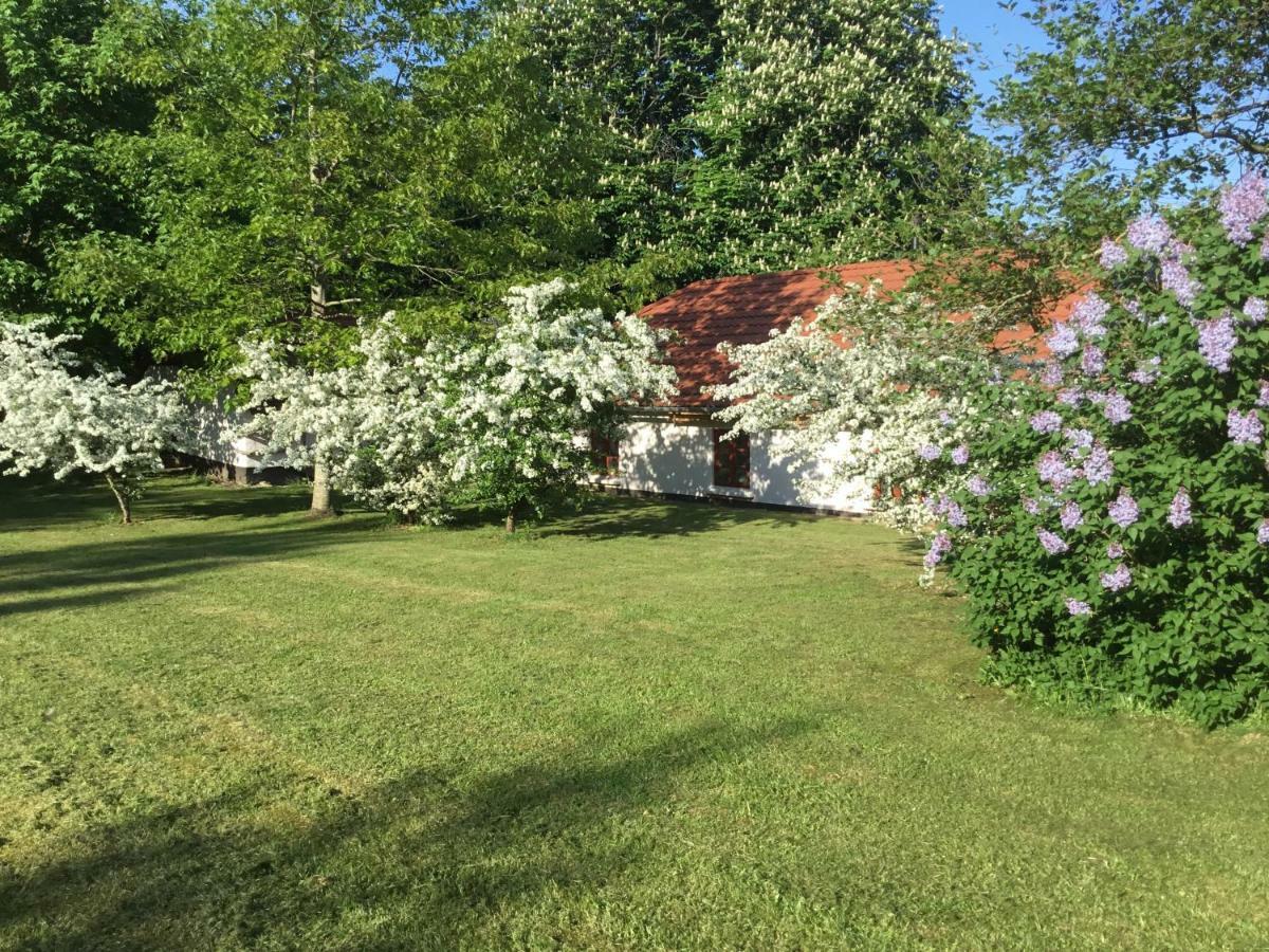 Vranum Guesthouse Viborg Kültér fotó